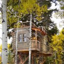 트리하우스 이미지