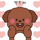 돈바우 이미지