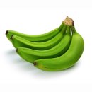 자원 오리성 | 바나나잎 효능 알아보기