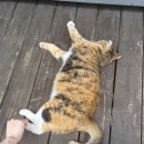 CU 선유도역점 이미지