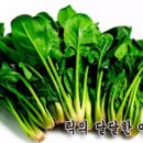 위스케일