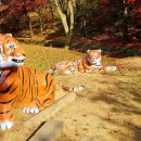 봉학골산림욕장 이미지