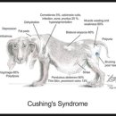 행담 동물병원 이미지