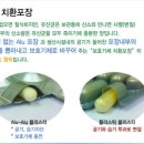 조은골드 - 종로구 종로 124 | 조은골드