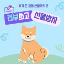 나봄919 네이버블로그