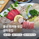 금하횟집 | 울산 무거동 횟집 금하횟집 룸 식당 일식당 무거동 사무소 맛집