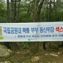 우째이런일이 Daum카페
