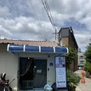 하얀천국 | 남양주 애견카페 추천 귀여운 포메라니안 천국 퍼피앤펍 방문 후기 여름방학 아이와 갈만한곳