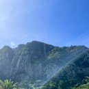 rest in jeju 이미지