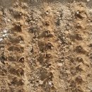 뜨락농장 이미지