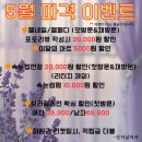 원스네일 이미지