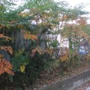 양평단월초등학교 이미지