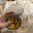 장화운동장 | 태안 여행! 애견동반 카페가 있는 펜션, 풍경펜션 솔직 후기(내돈내산)