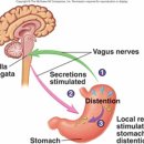 경희화담한의원 이미지