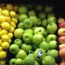 주식회사 열일곱 이미지