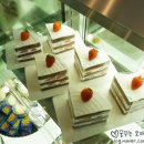 브레댄코 이미지