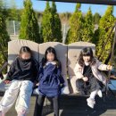 펀지키즈풀빌라5 이미지