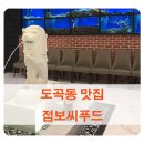 점보씨푸드 도곡점 | [타워팰리스 맛집] 도곡 점보씨푸드 후기 (포장 가능)