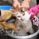 파인힐 빌리지 캠핑장 이미지