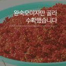 막골농장 이미지