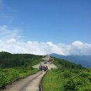 강산