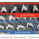 굿모닝보청기 부천원종센터 이미지