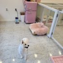 이쁘개몽 이미지