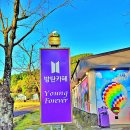 제주 조천숙소 베스트힐 글램핑과 방탄카페