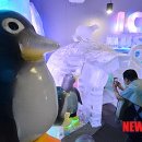 아이스뮤지엄 이미지