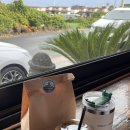 럭키비키제주🍀 (2) 오는정김밥/르바게트/어멍이해녀/기흥어물고등어회/마농치킨/오조포구