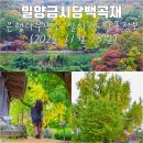 활성동 밀양시국궁장 | 밀양금시당백곡재 은행나무 명소 실시간 단풍정보