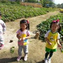 상일농장 이미지