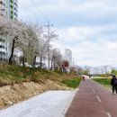 공지천 산책로 이미지