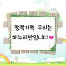 별빛수족관 이미지