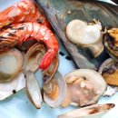 꼭지민박 이미지