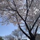 동현제1어린이공원 이미지