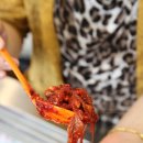 변산반도젓갈