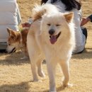 빅콩