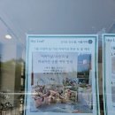광명 식물가게 추천 / 광명역꽃집 &#39;헤이리프&#39; 반려식물 후기