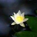 (주)풍경