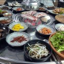 산골생고기