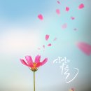 남도한식부페 이미지