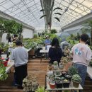 플랜팜 중도일보