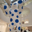 아쿠아필드 이미지