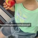 대경목장 이미지