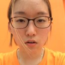 [VOCA] go to the great lengths/ enthusiastically praise/unattainable perfection/ no sooner than/ had scarcely begun -Flora 이미지