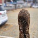 7공주쌀꽈배기 이미지