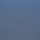 해돋이정보화마을 이미지