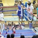 미키루키 이미지