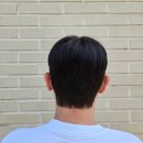 멍냥살롱 천안불당점 | 천안 신불당 미용실 빈에물들다에서 남자 커트, 옆머리 뒷머리 다운펌 받은 후기